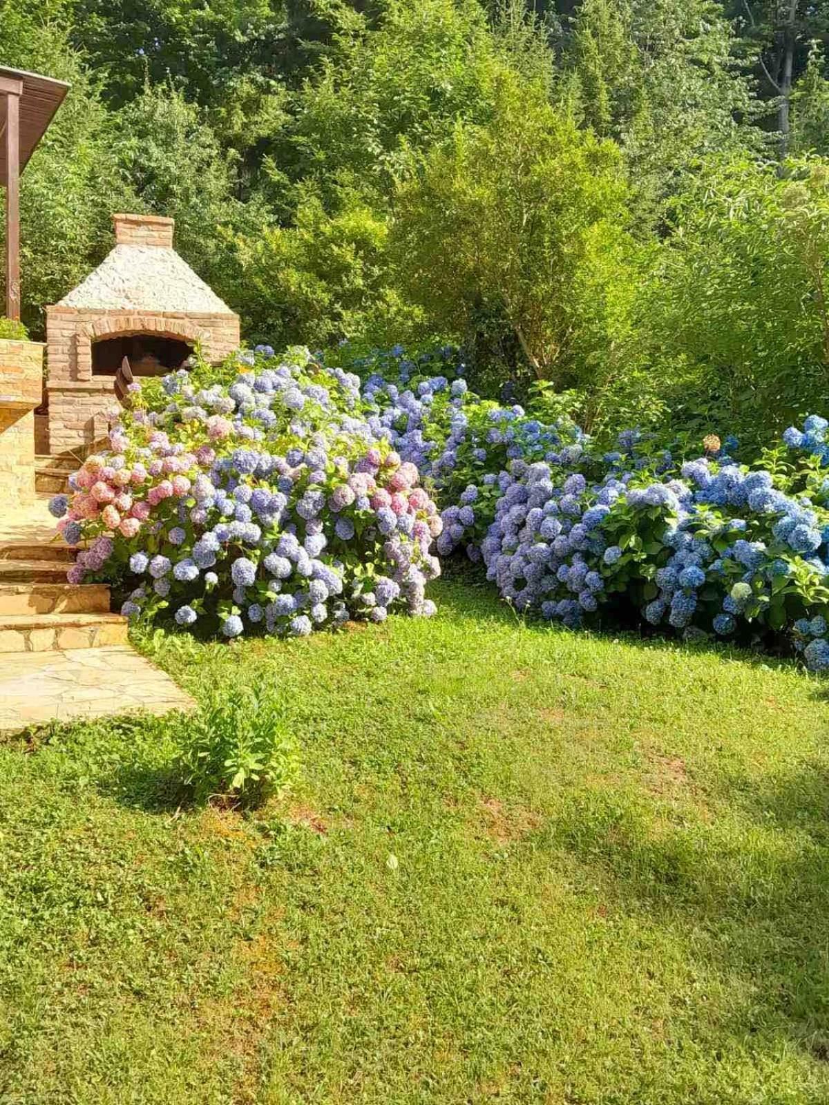 Planinska Vikendica Rudnik Villa Exterior photo